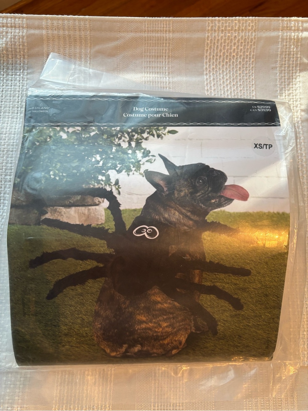 Ashland Black Spider Dog Costume